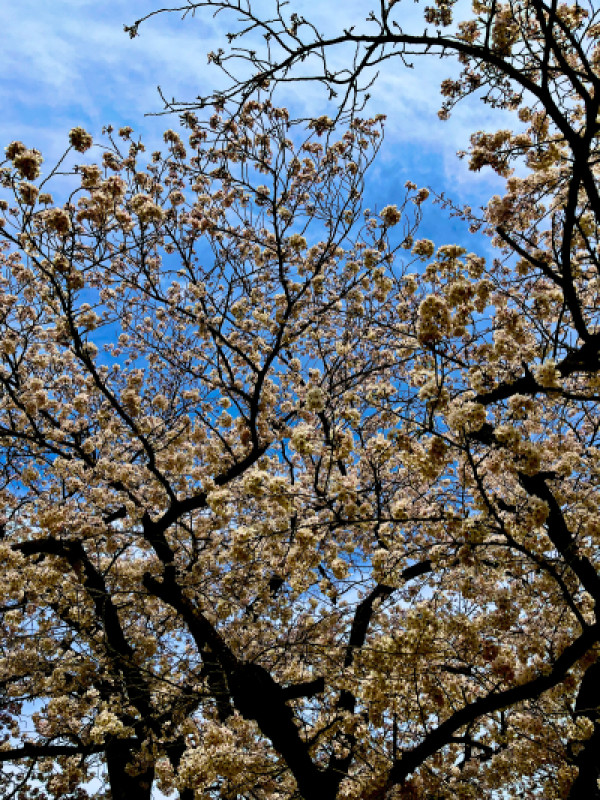 精神揺さぶりにあって、精神崩壊