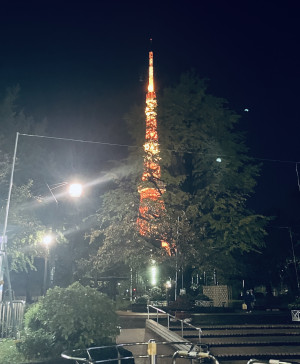 11月も折り返し