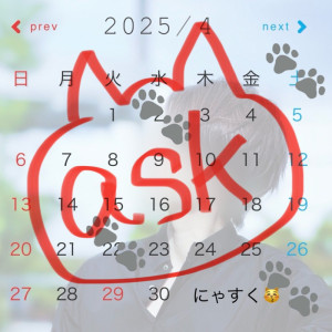 何故か猫
