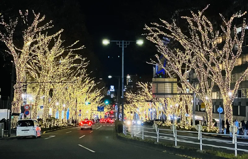 クリスマスが今年もやってくる