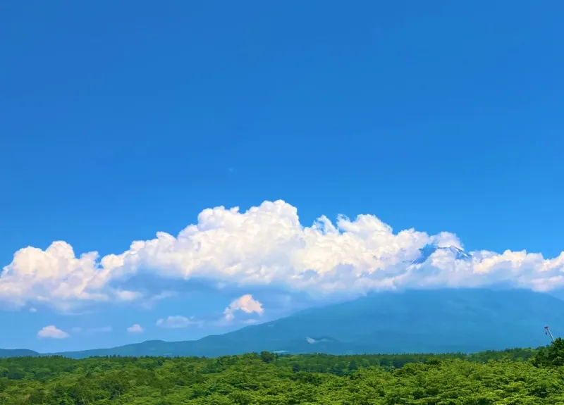 夏休みはやっぱり短い