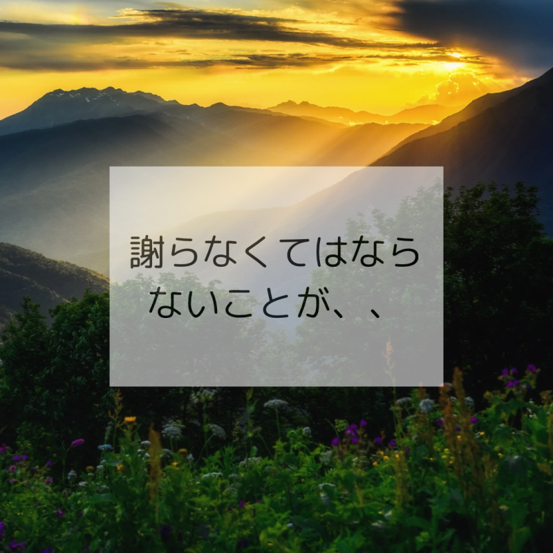 無理なものは無理