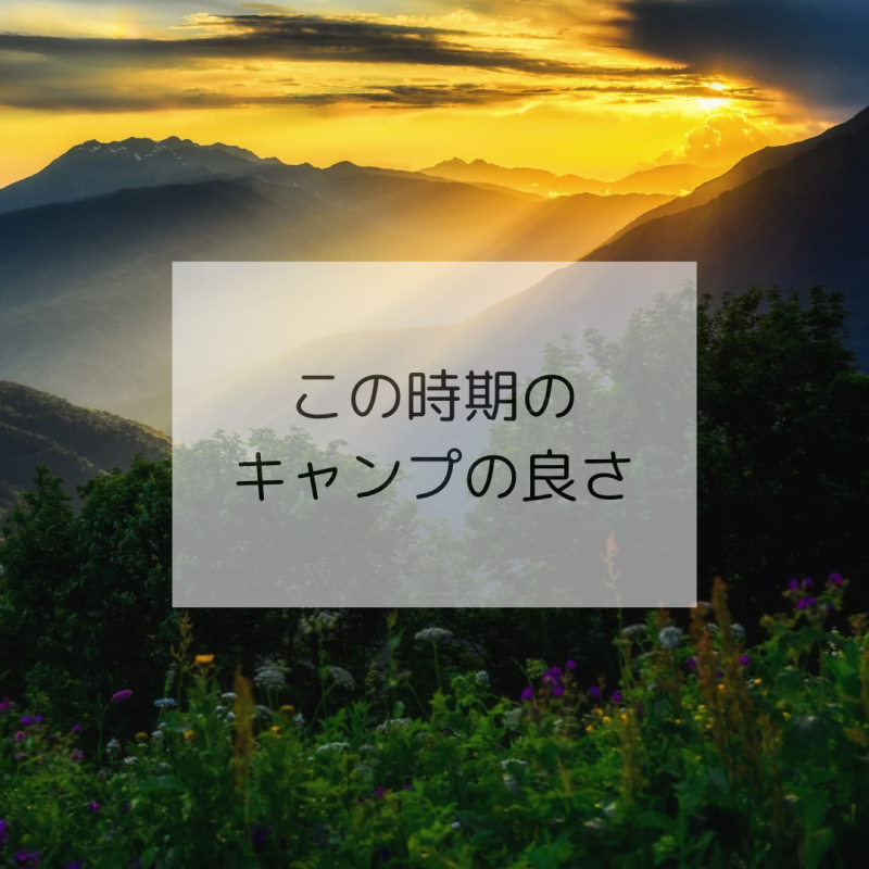 この時期のキャンプの良さ