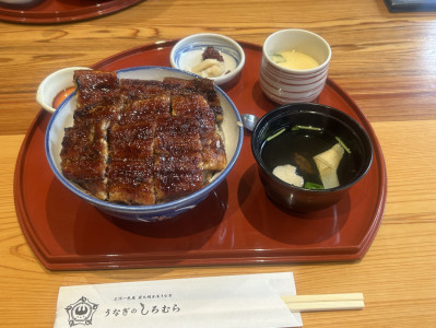 お久しぶりです
