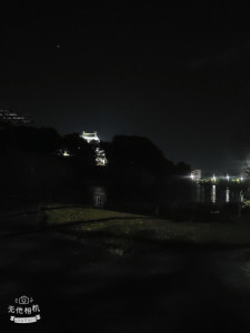 冬の公園