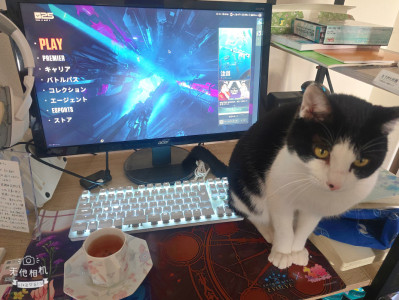 茶器に出会ったよ