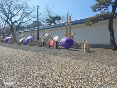 岡崎いったよ