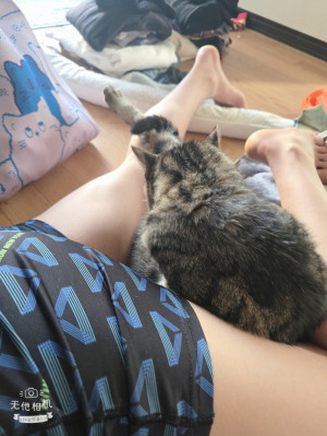 少しづつ