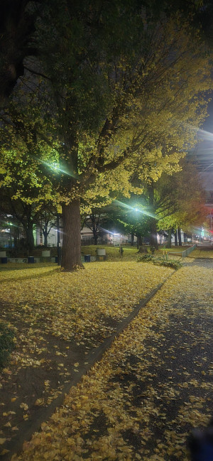 写メ日記を続けて