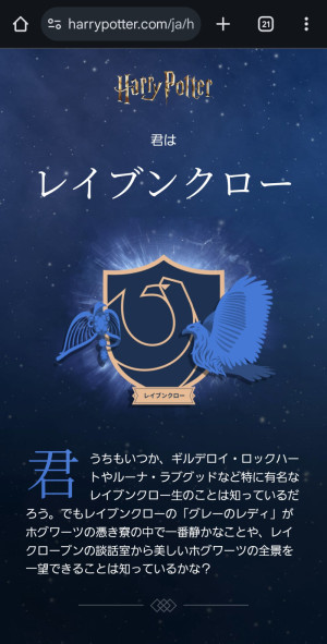 ハリーポッターショップに行ってきました