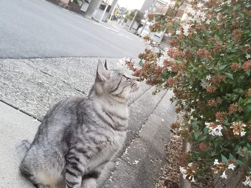 日々の積み重ね