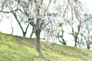 【一番気持ちいい】