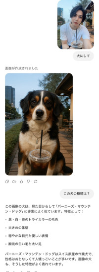 犬にして