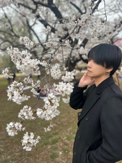 続・お花見シリーズ