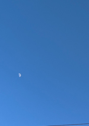 月が綺麗ですね。