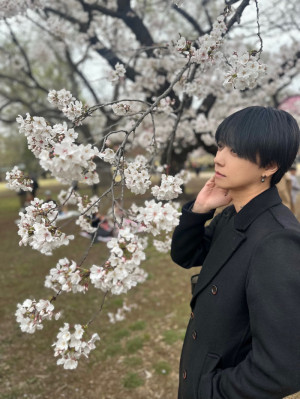 続・お花見シリーズ