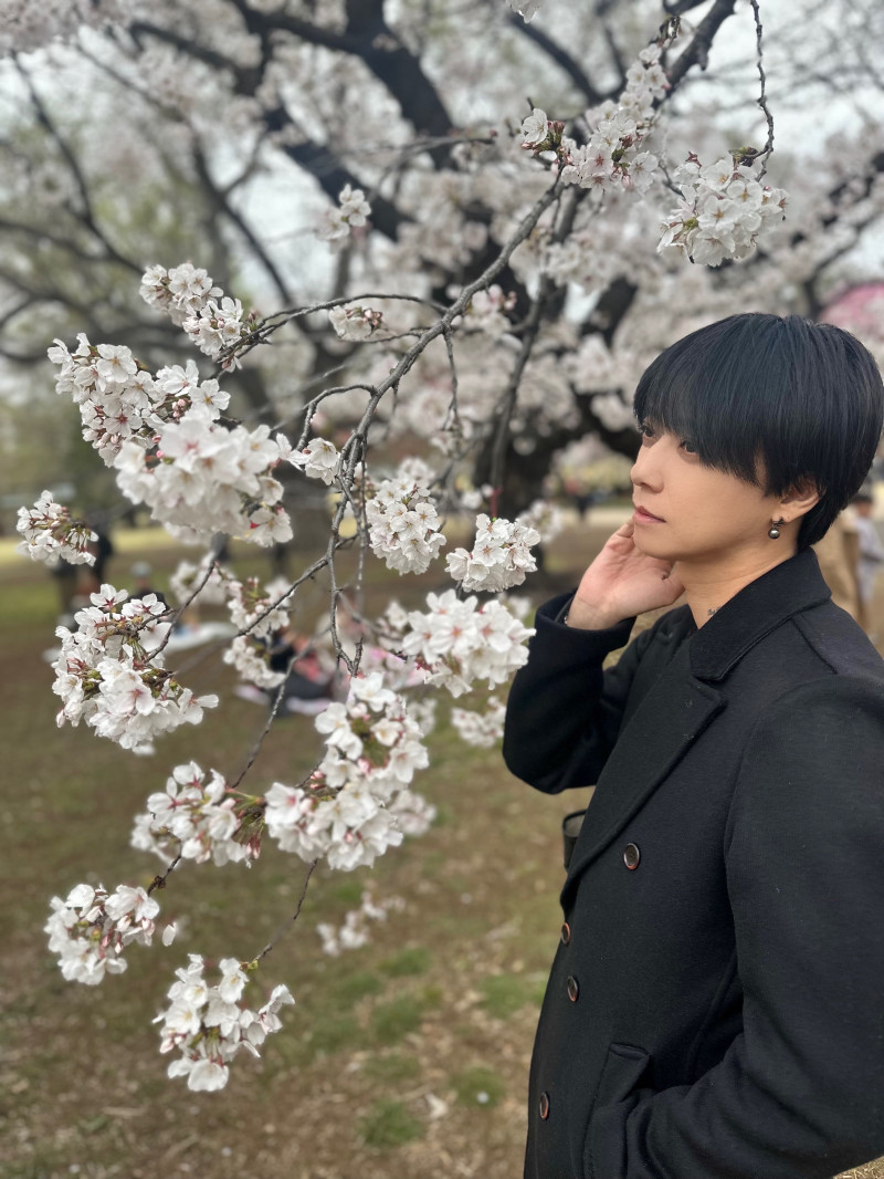 続・お花見シリーズ