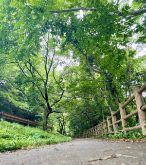 週末ラン