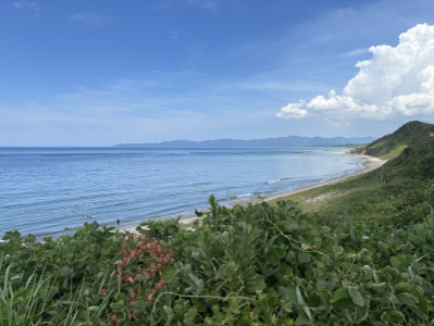 夏といえば