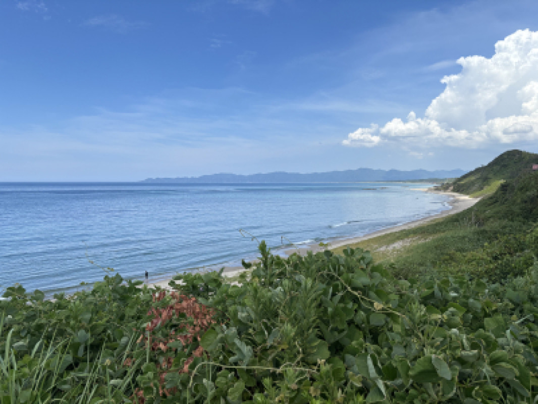 夏といえば