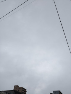 霧の朝????
