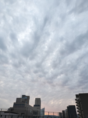 朝活?
