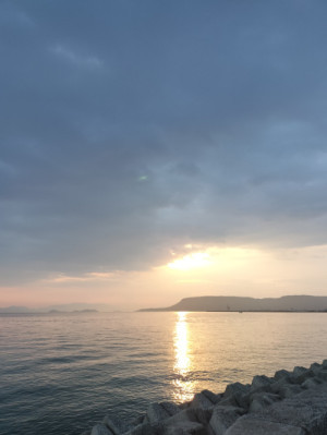 少し涼しい朝?