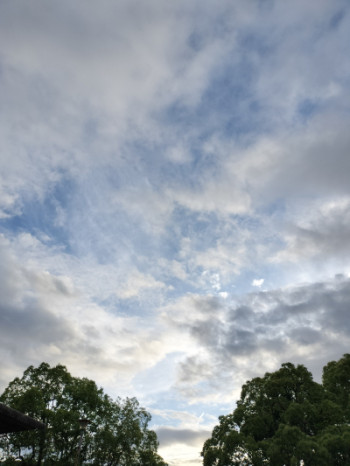 雨上がり??