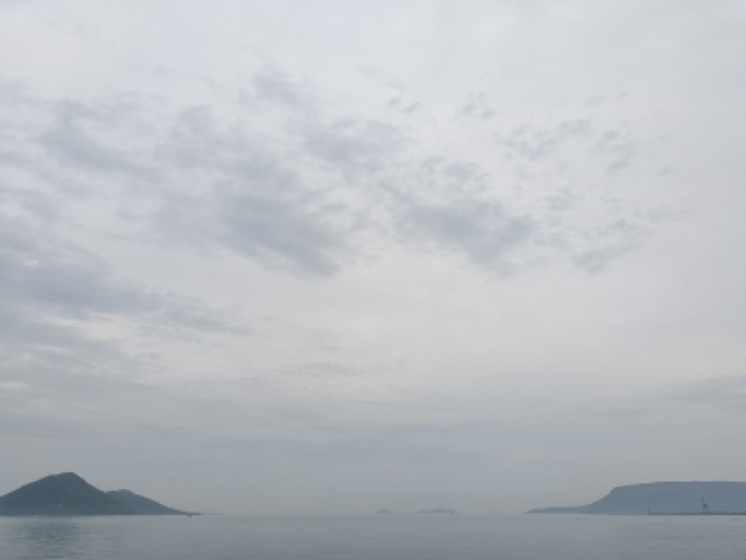 少し晴れてきました?