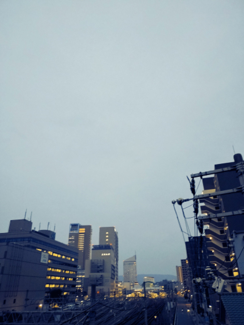 梅雨の合間の??