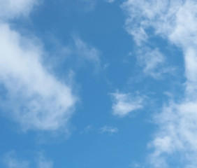 こんにちは?