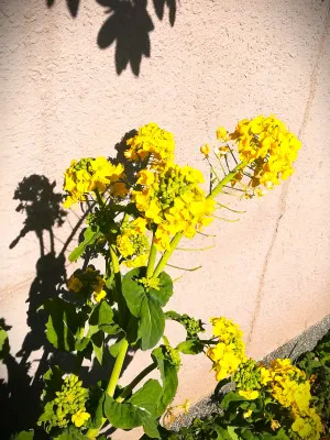 日常会話の積み重ね