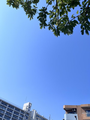 春空