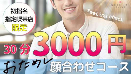 お試し顔合わせコースを活用ください！