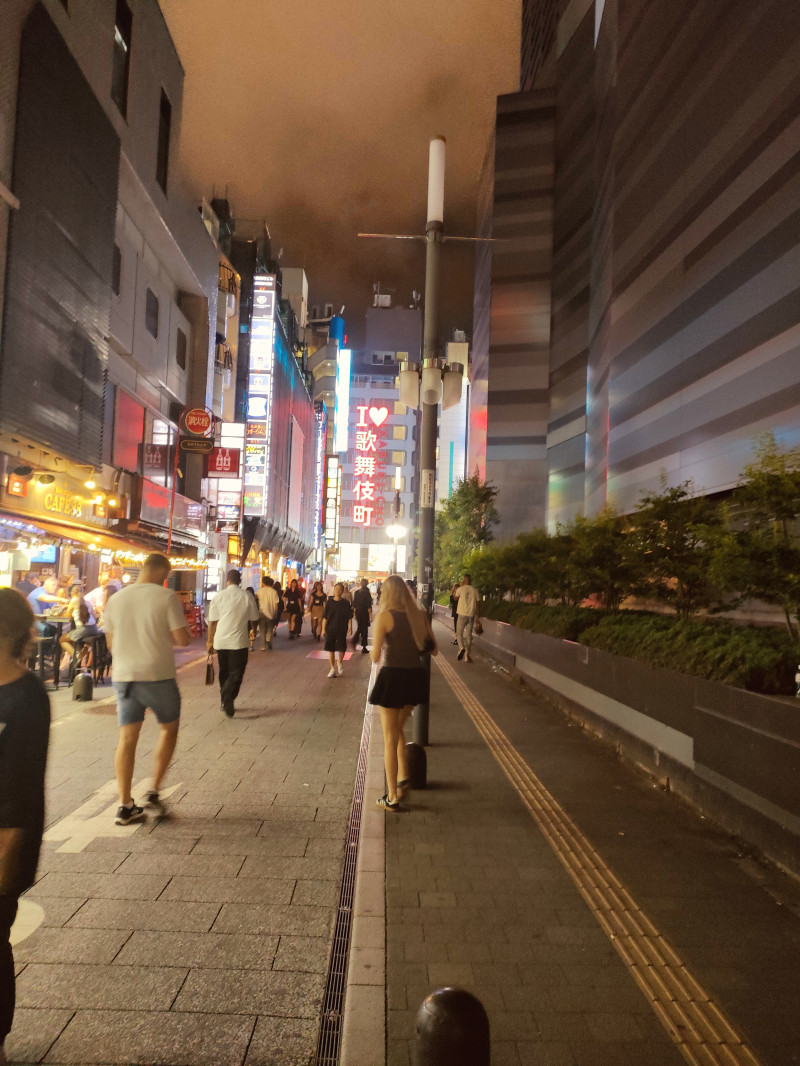 夜の歌舞伎町。