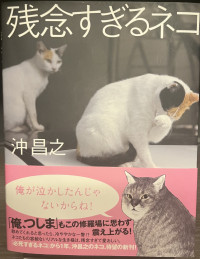 僕は犬派でもあり猫派なのだ