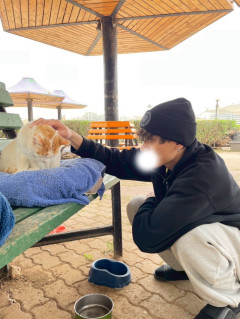 おはおは
