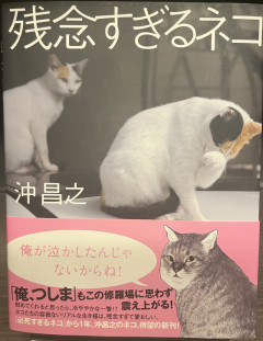 僕は犬派でもあり猫派なのだ
