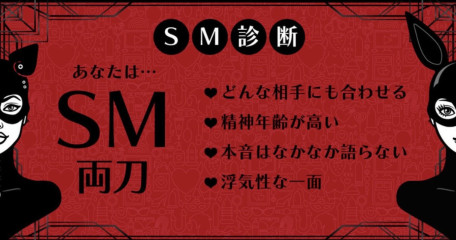 SM診断