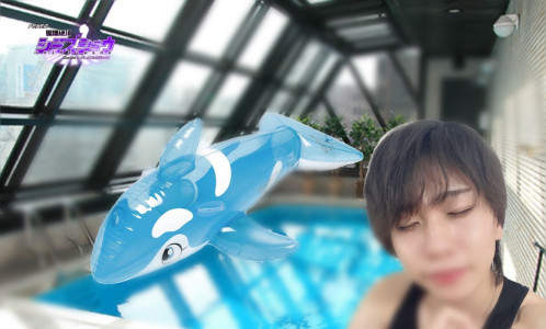 紫水晶の雑な思考　53日目