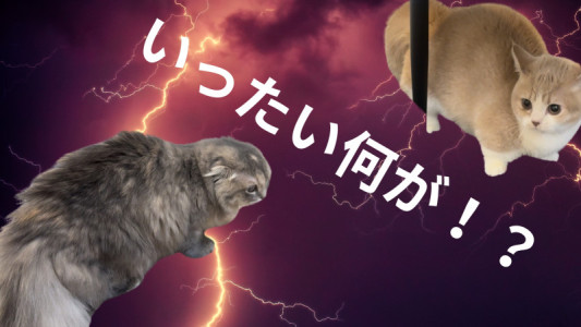 【病み期】