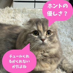 【本当の優しさ】