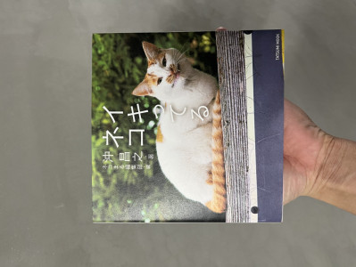 まさにCAT