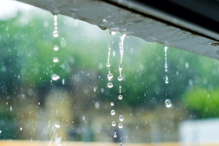 雨
