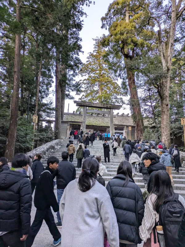 本年もよろしくお願い致します