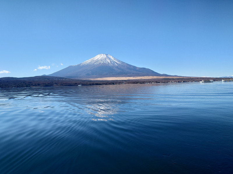 ありがとうございます（*^^*）