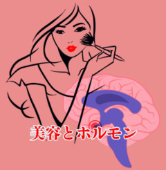美容とホルモンの関係