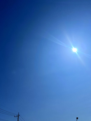 暑さに注意です