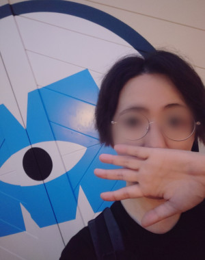 1人ディズニー終