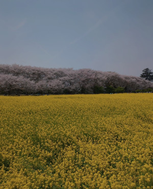 癒され〜